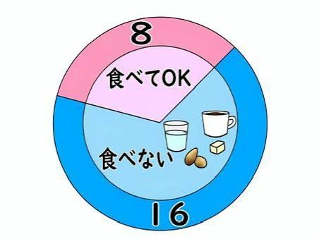 好きな物を食べて痩せられる？8時間ダイエットの真実