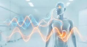 グレリンと食欲の真実：なぜ夜に腹が減るのか？